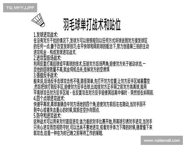 羽毛球技巧与战术深度解析，助你提升竞技水平与比赛表现